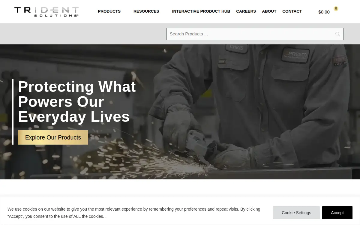 Homepage of Repnet, INC.