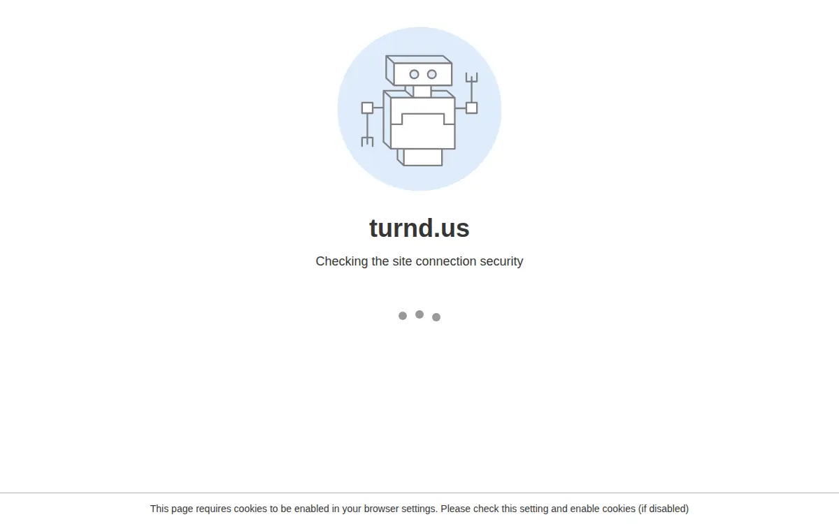 Homepage of Turn Dynamics LLC