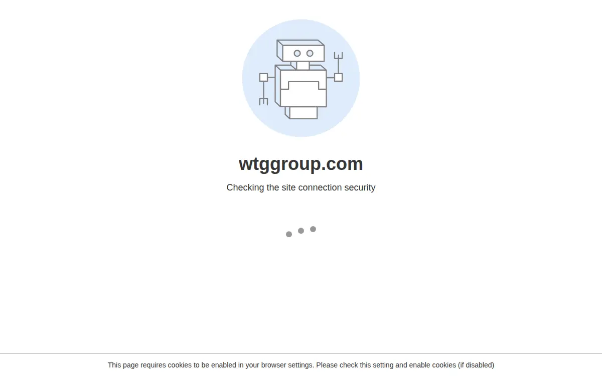 Homepage of W. T. G. Group, INC.