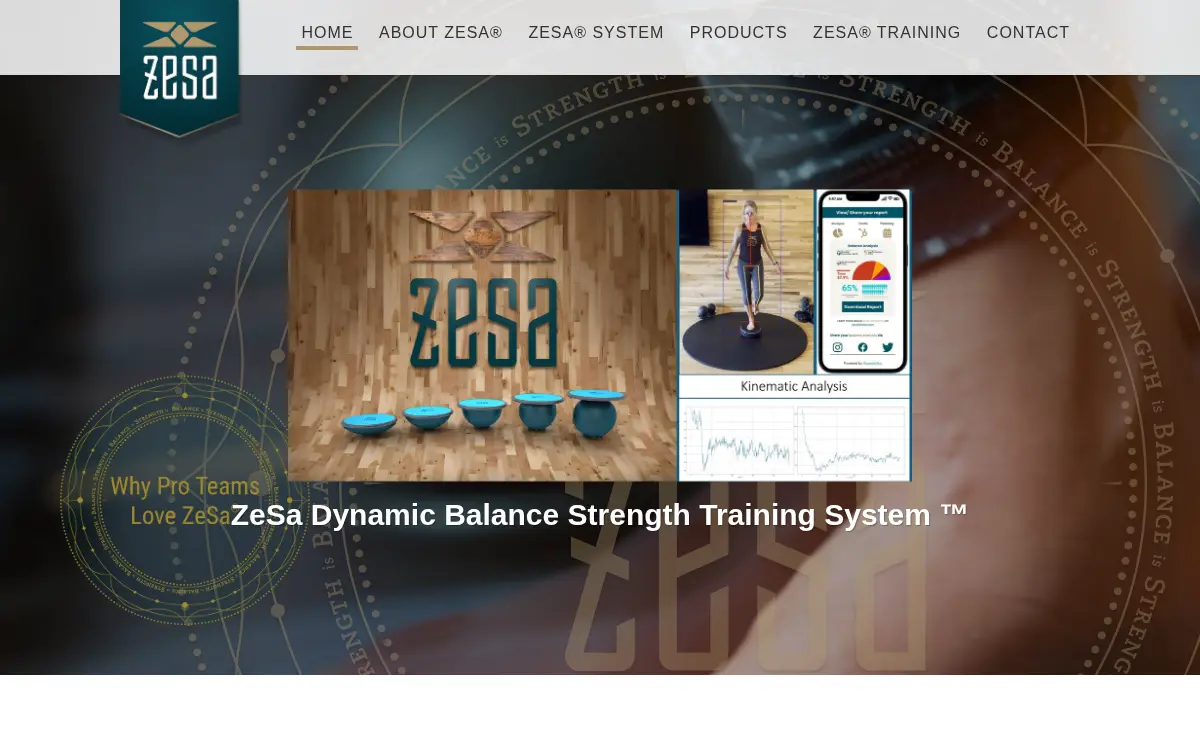 Homepage of Zesa Enterprises Corporation